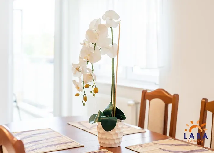 Laba Zielone Tarasy Apartmán *