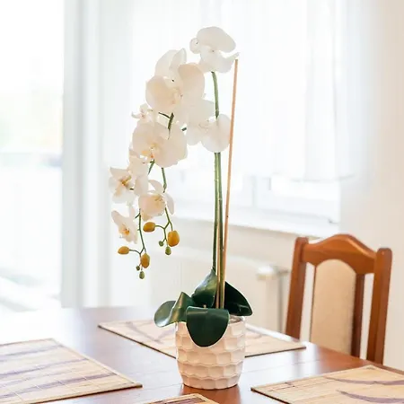 Laba Zielone Tarasy アパート *